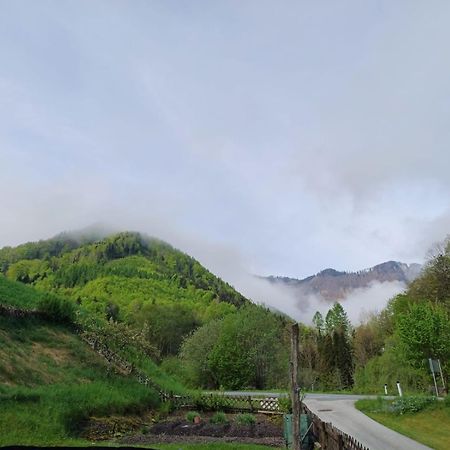 Wohnung Im Nationalpark Kalkalpen 3 Reichraming エクステリア 写真