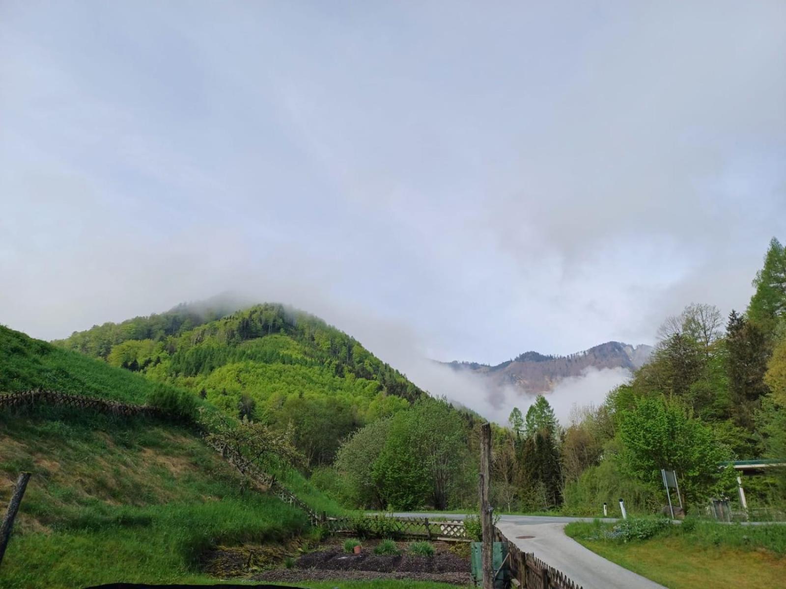Wohnung Im Nationalpark Kalkalpen 3 Reichraming エクステリア 写真