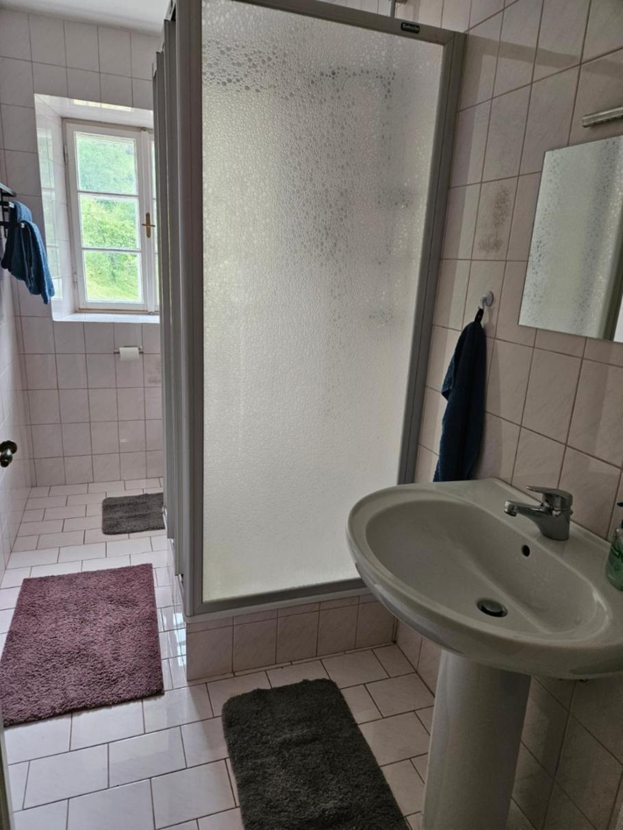 Wohnung Im Nationalpark Kalkalpen 3 Reichraming エクステリア 写真