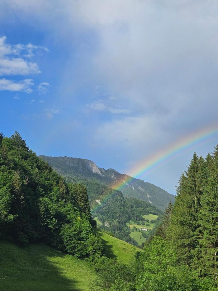 Wohnung Im Nationalpark Kalkalpen 3 Reichraming エクステリア 写真